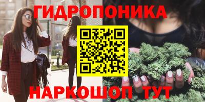 тгк Новокубанск